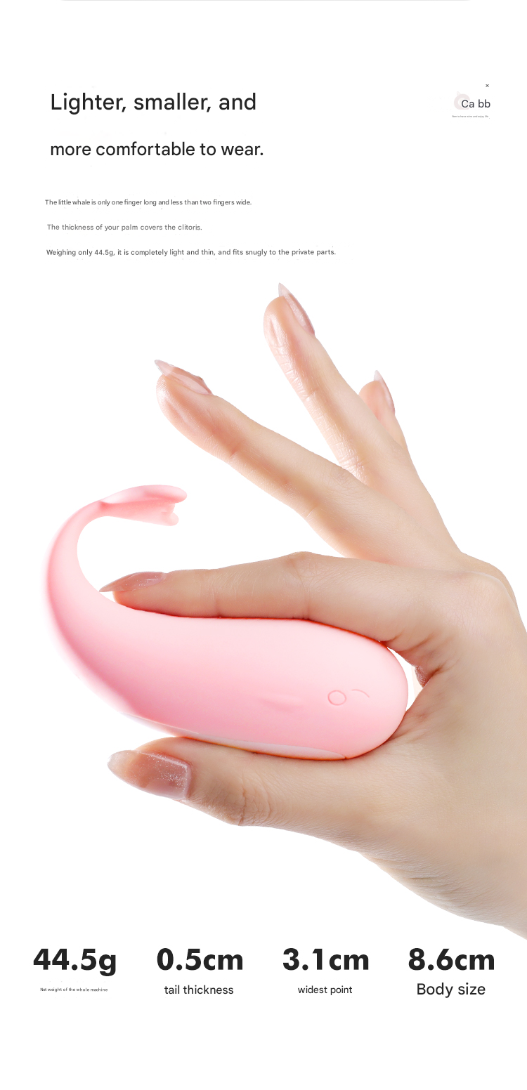 谜姬皮皮鲸小程序