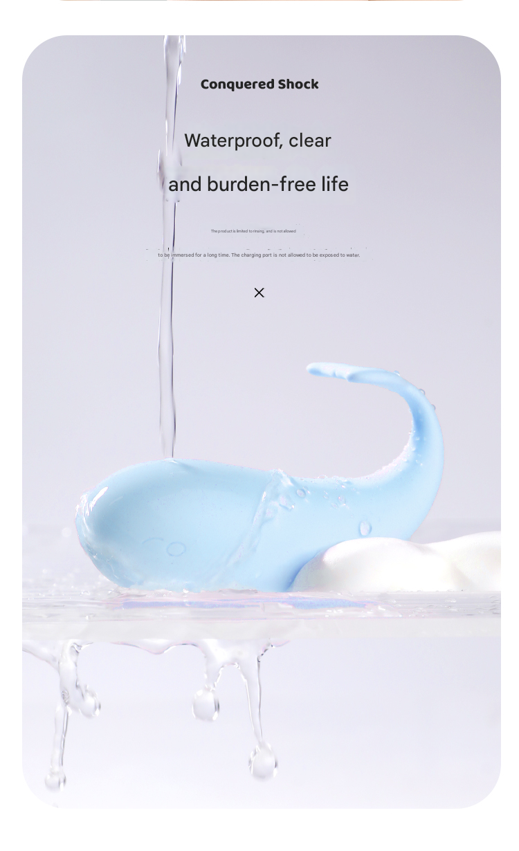 谜姬皮皮鲸小程序