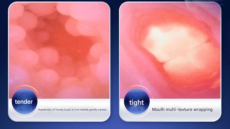 雷霆A380二代飞机杯