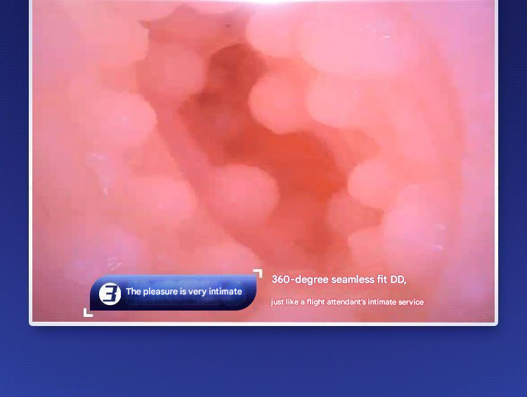 雷霆A380二代飞机杯